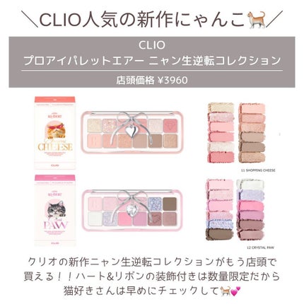 プロ アイ パレット エアー/CLIO/アイシャドウパレットを使ったクチコミ(2枚目)