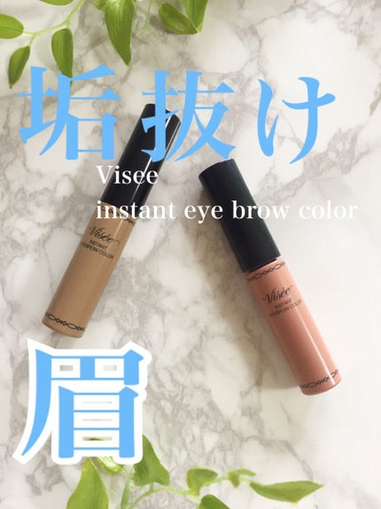 ヴィセ リシェ インスタント アイブロウ カラー/Visée/眉マスカラを使ったクチコミ(1枚目)