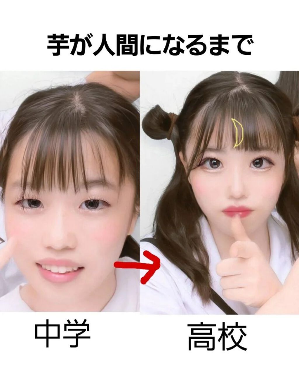 フィーノ　プレミアムタッチ　濃厚美容液ヘアマスク/フィーノ/ヘアマスク・ヘアパックを使ったクチコミ（1枚目）