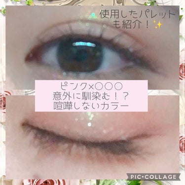 ART SILKY EYE SHADOW PALLET/HOJO/パウダーアイシャドウを使ったクチコミ（1枚目）