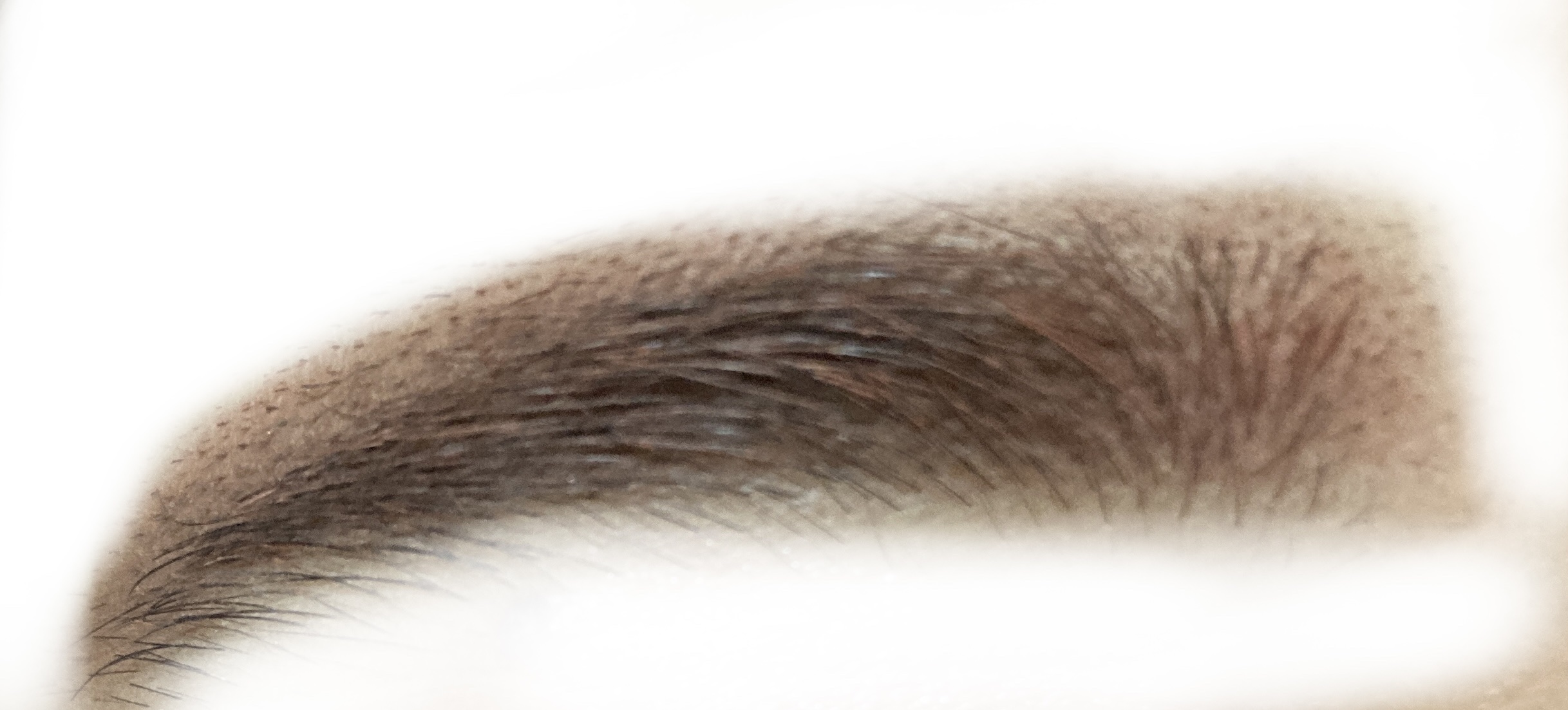 フィルム眉カラー/デジャヴュ/眉マスカラを使ったクチコミ（1枚目）