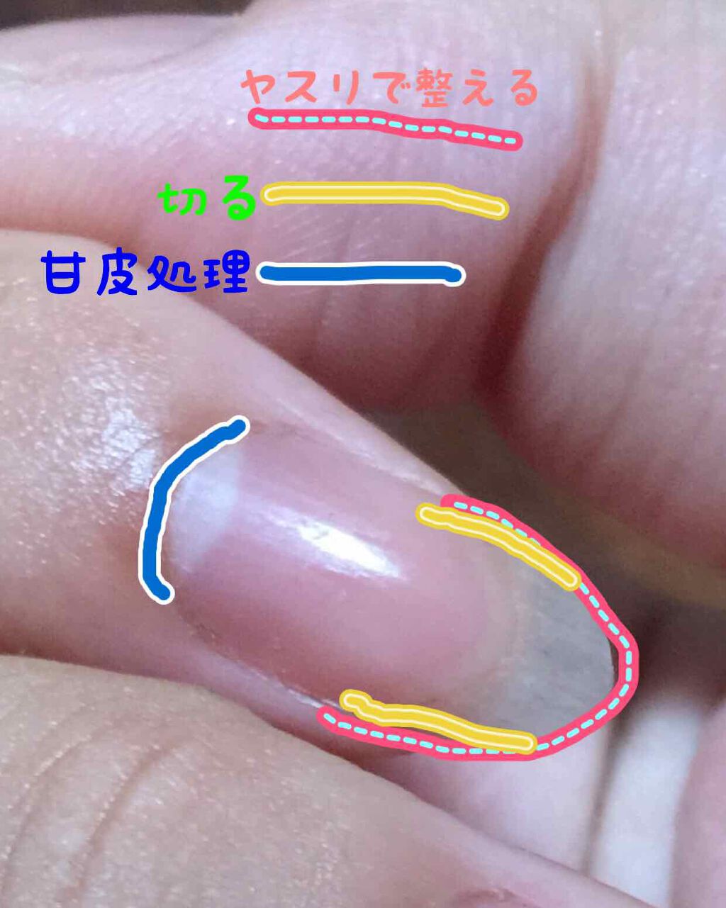 キューティクルオイル/ネイルホリック/ネイルオイル・トリートメントを使ったクチコミ(4枚目)