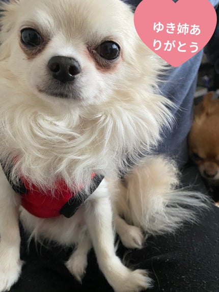 美白 うるおい ジェル/ちふれ/オールインワン化粧品を使ったクチコミ(6枚目)