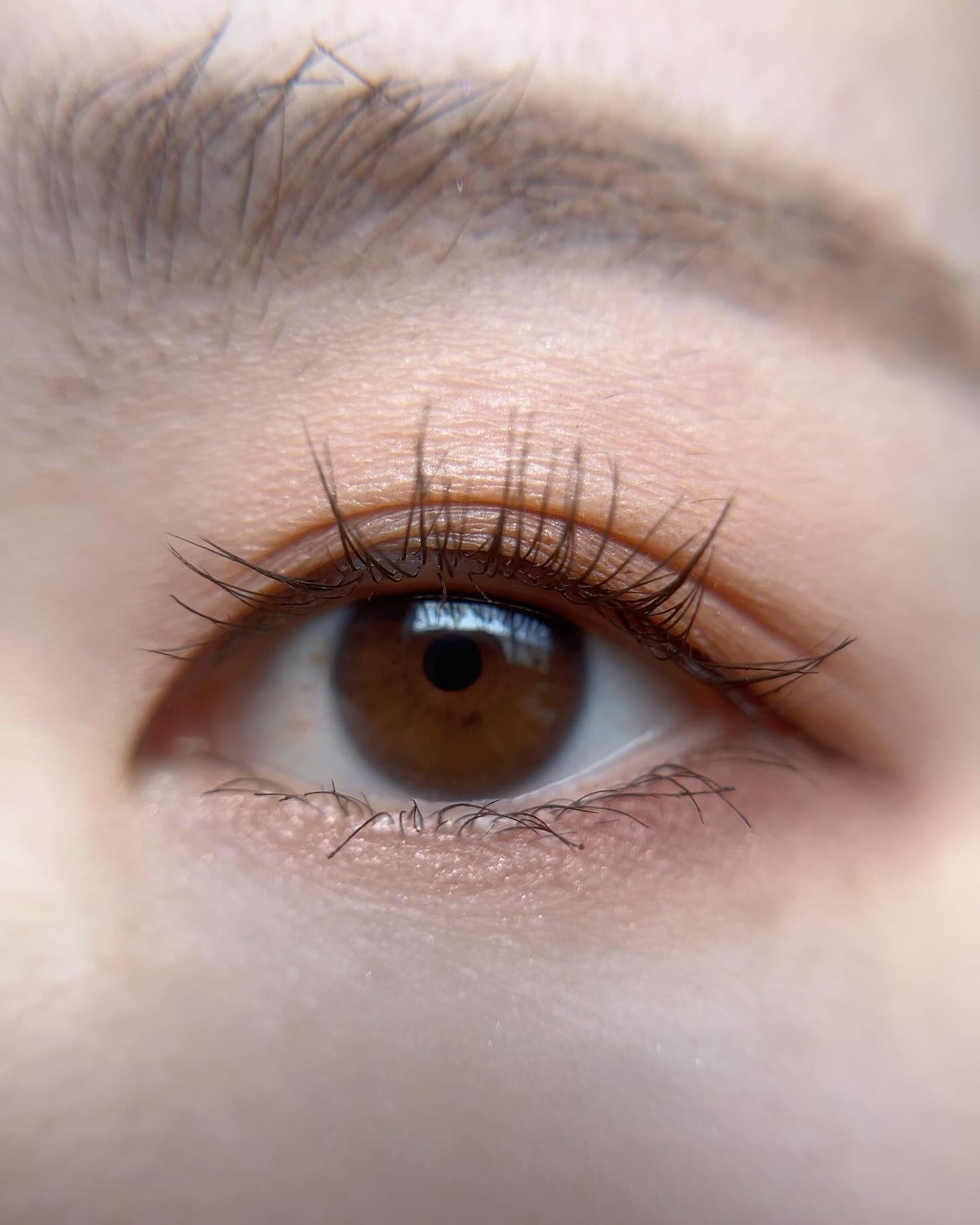 パーフェクトエクステンション マスカラ/D-UP/マスカラを使ったクチコミ(3枚目)