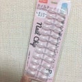 DAISO ネイルチップ レギュラータイプ 120p