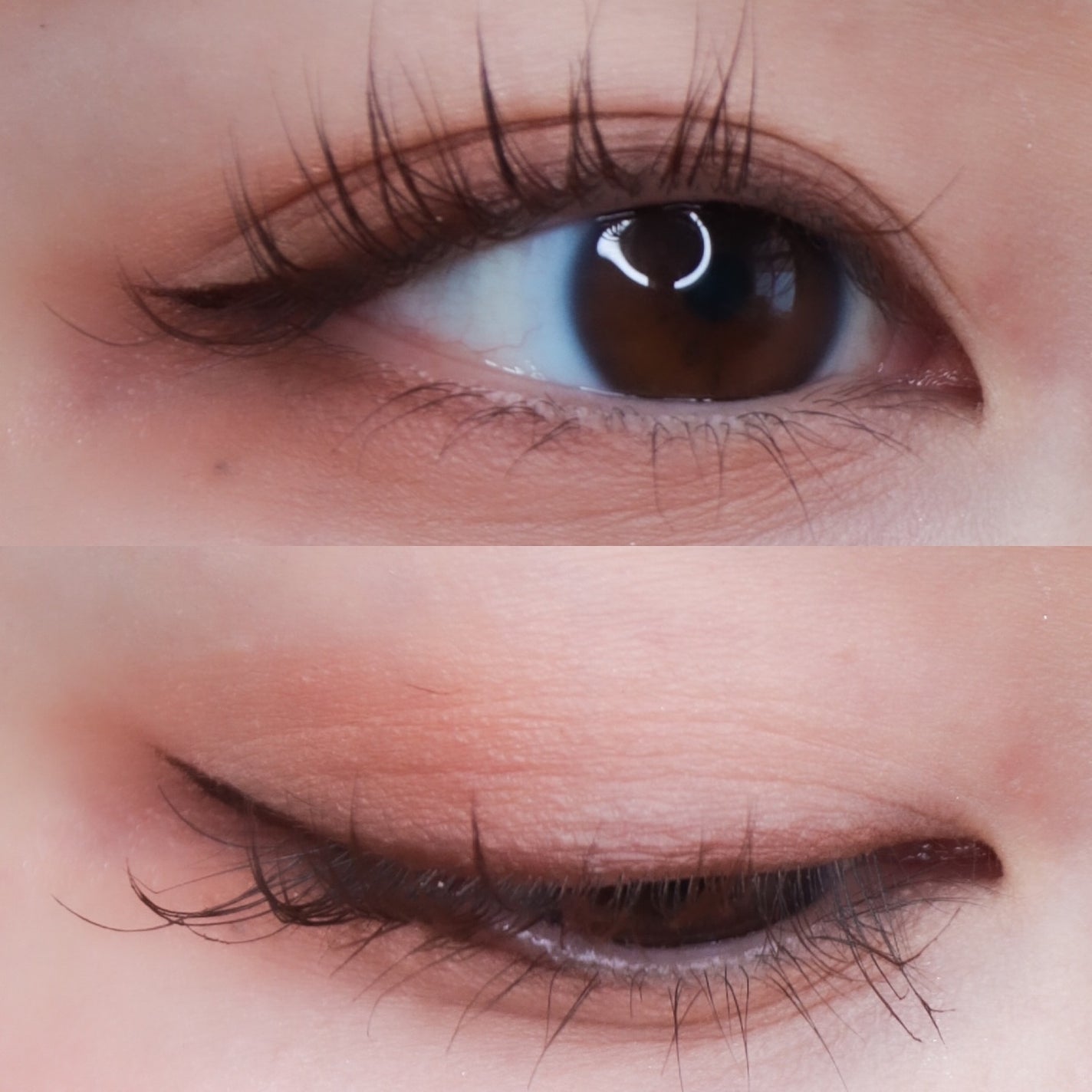 プティパレットアイズ(マットタイプ)/キャンメイク/パウダーアイシャドウを使ったクチコミ(5枚目)