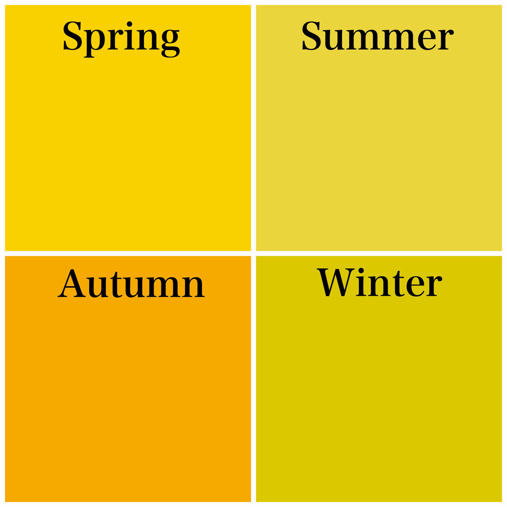 【旧品】パウダーチークス/キャンメイク/パウダーチークを使ったクチコミ（2枚目）