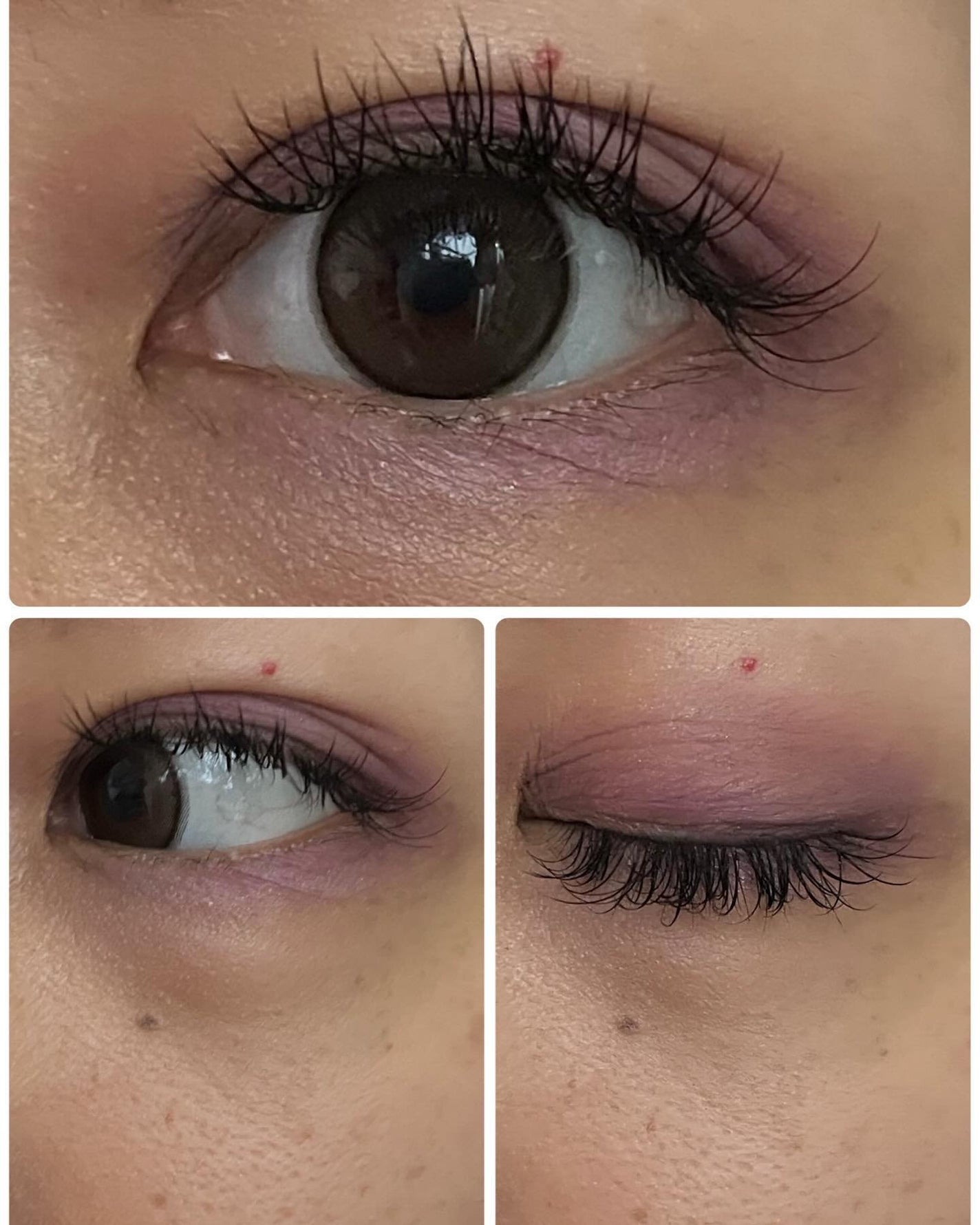 エッセンシャリスト アイパレット/SHISEIDO/アイシャドウパレットを使ったクチコミ(4枚目)