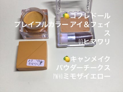 リシェ カラーリング アイブロウパウダー/Visée/パウダーアイブロウを使ったクチコミ(4枚目)