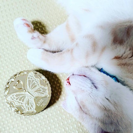 ルース パウダー/ANNA SUI/ルースパウダーを使ったクチコミ(8枚目)