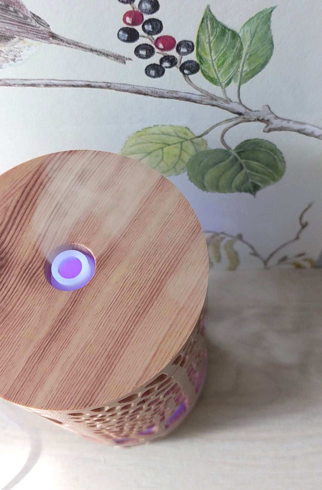 コスメ大好き☆きらら on LIPS 「コエタスのモニターキャンペーンを通して、ENHANCERYアロ..」(4枚目)