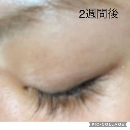 ラッシュアディクト アイラッシュコンディショニングセラム/soaddicted/まつげ美容液を使ったクチコミ(4枚目)