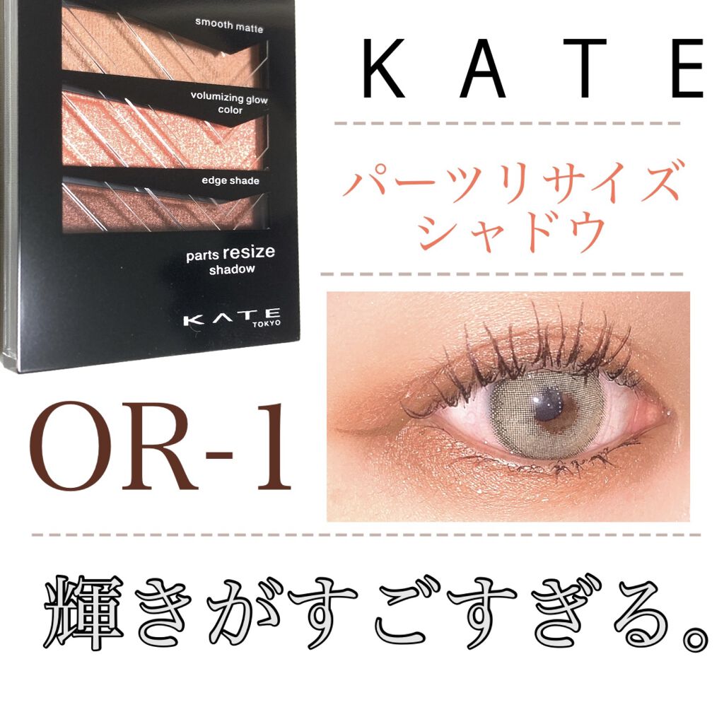 パーツリサイズシャドウ OR-1 ブリックオレンジ/KATE/アイシャドウパレットを使ったクチコミ（1枚目）