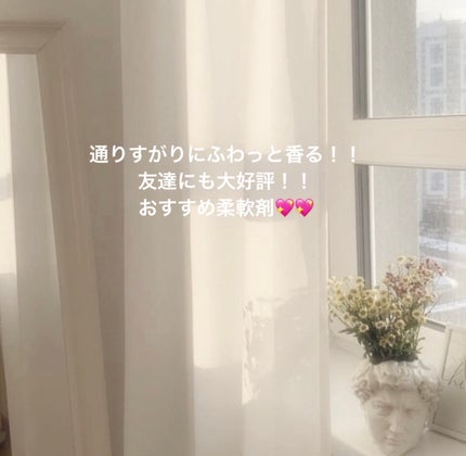 プレミアム柔軟剤 IROKA ネイキッドリリーの香り/IROKA/柔軟剤を使ったクチコミ(1枚目)