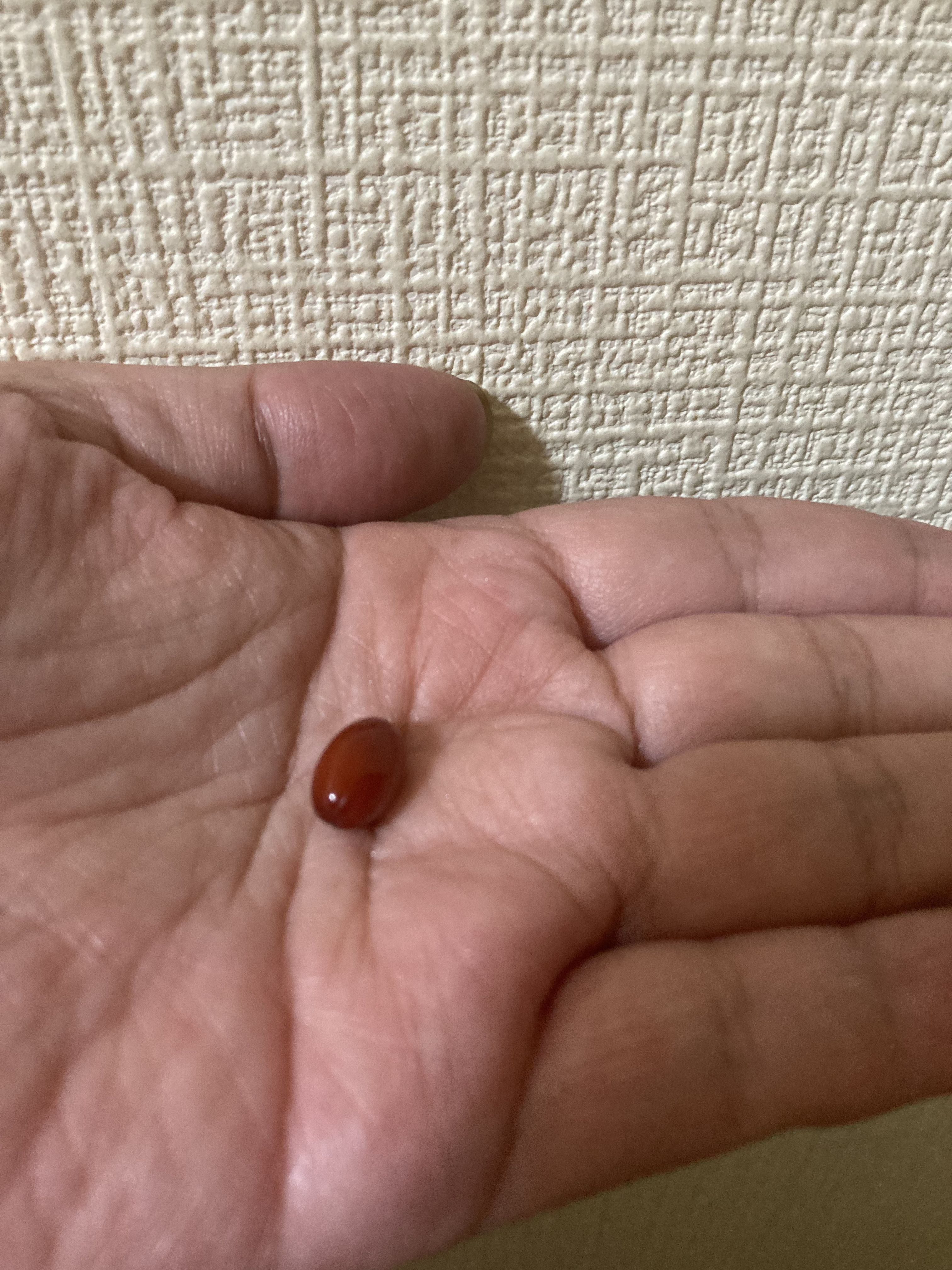 Mayumi フォロバ100のクチコミ「こちらはなくなりかけたのでリピ購入しました。

コエンザイムQ10、年齢に抗う為に続けています.....」（3枚目）