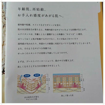 ブーストパワーローション/エクイタンス/化粧水を使ったクチコミ(5枚目)