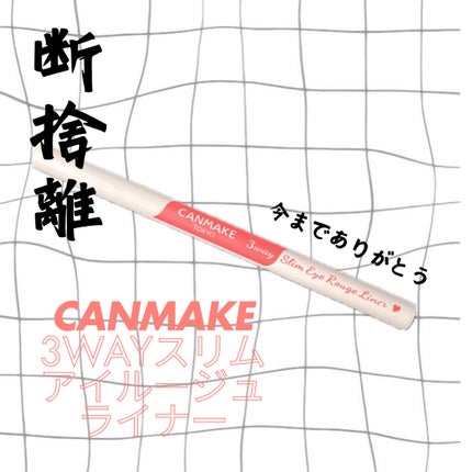 3wayスリムアイルージュライナー/キャンメイク/リキッドアイライナーを使ったクチコミ(1枚目)