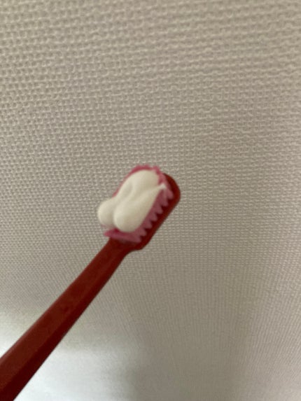 メイクブレス ハミガキ/MAKE BREATH/歯磨き粉を使ったクチコミ(2枚目)