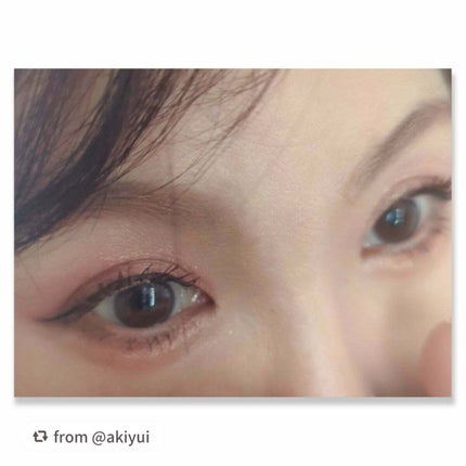 エクスプローラ12色 動物アイシャドウパレット/PERFECT DIARY/アイシャドウパレットを使ったクチコミ(2枚目)