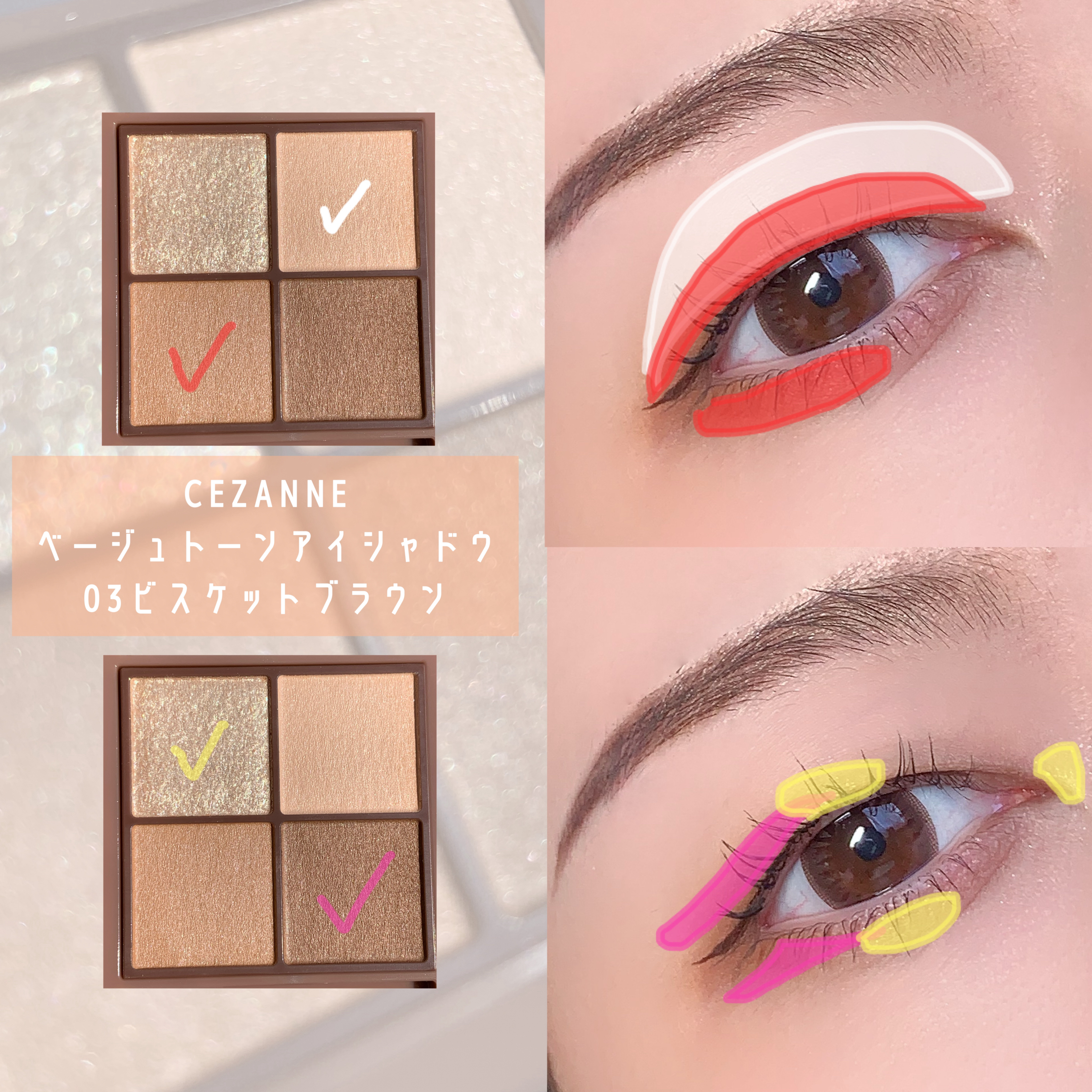 ビタートーンアイシャドウ/CEZANNE/パウダーアイシャドウを使ったクチコミ（2枚目）