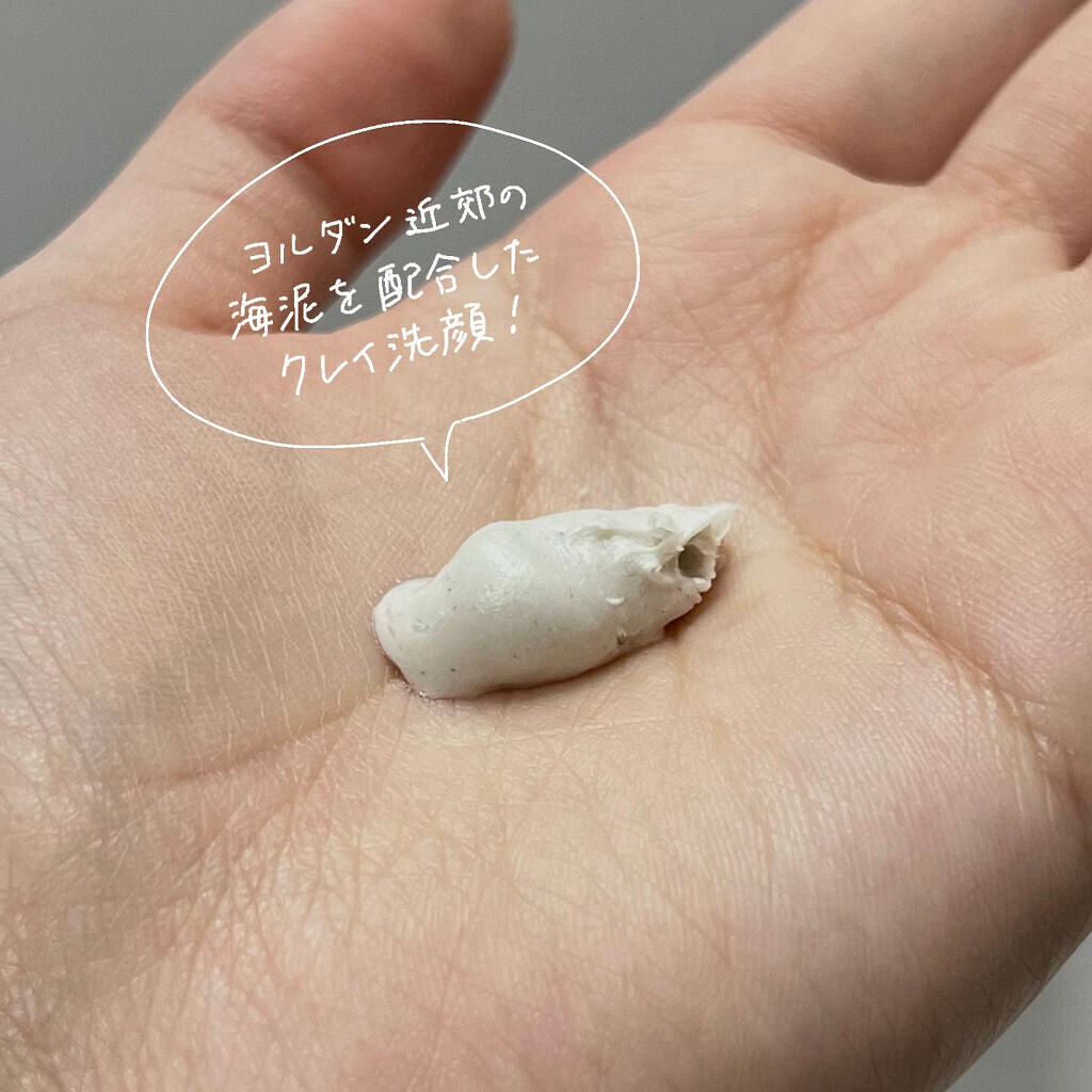 クレイウォッシュ/ALAVITA/洗顔フォームを使ったクチコミ(2枚目)