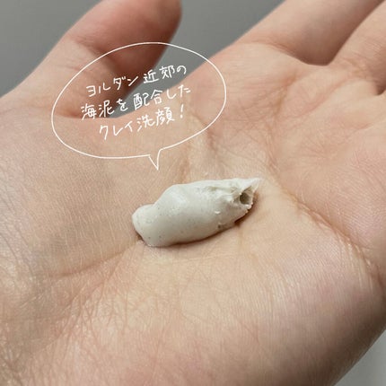 クレイウォッシュ/ALAVITA/洗顔フォームを使ったクチコミ(2枚目)
