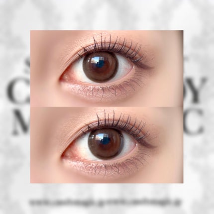 secretcandymagic(シークレットキャンディーマジック)1month バニラブラウン/secret candymagic/1ヶ月(1MONTH)カラコンの画像