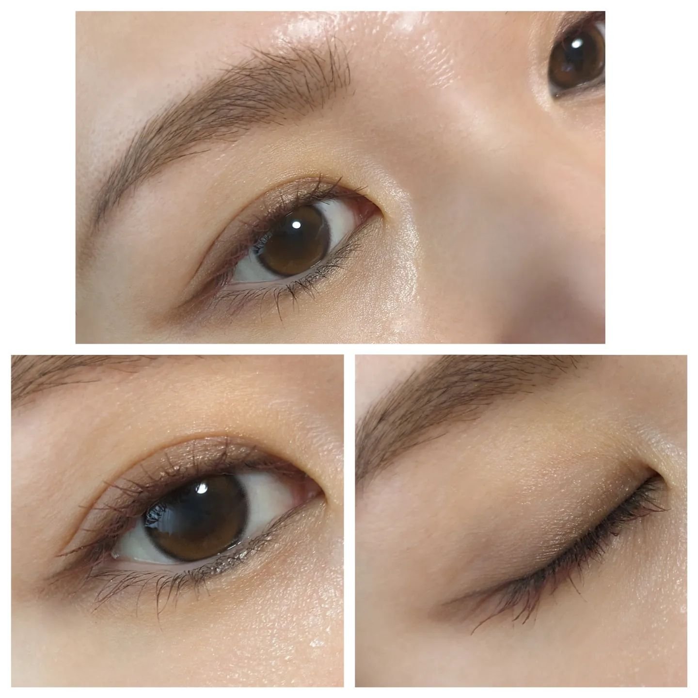 エレガンス アルモニーアイズ/Elégance/アイシャドウパレットを使ったクチコミ（2枚目）