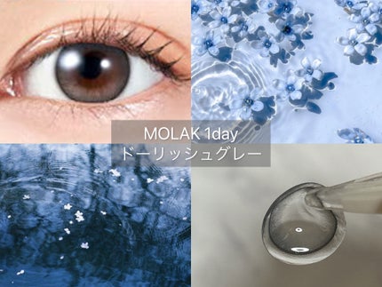 MOLAK 1day/MOLAK/ワンデー(1DAY)カラコンを使ったクチコミ(1枚目)