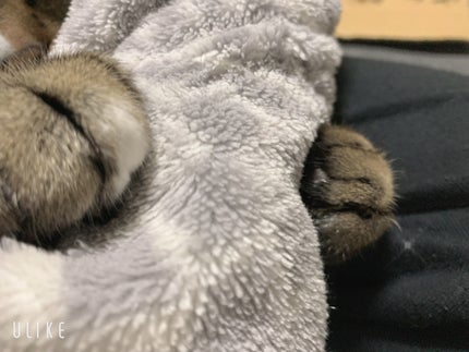 йаÑsÏ
ð¥ã³ã¹ã¡ð奜ããããšæ²¢å±±ç¹ããããð on LIPS ãããŠãã®æ¬¡ç·åã·ãªãŒãºðââ¬ðŸðããã€ãããŠãã®æ¬¡ç·åã·ãªãŒãº..ãïŒ3æç®ïŒ