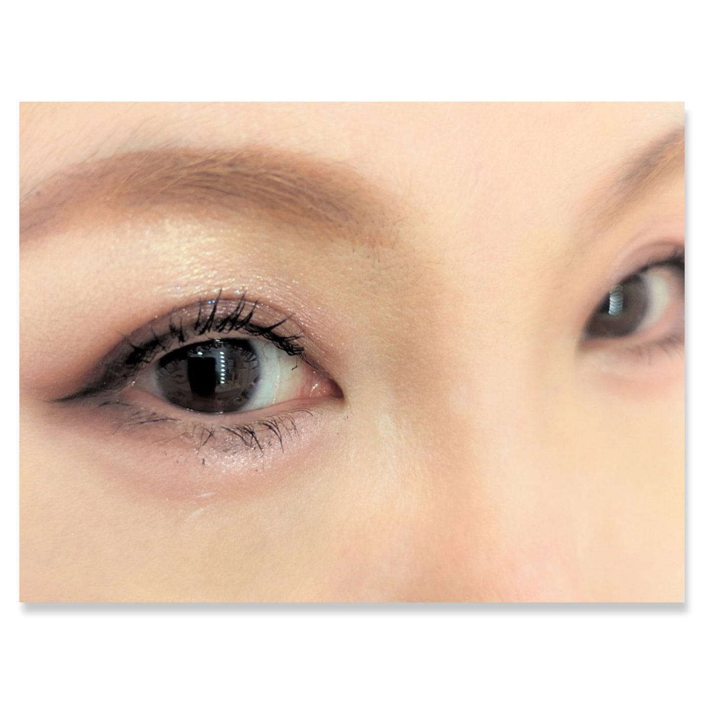 シャドーカスタマイズ/MAJOLICA MAJORCA/単色アイシャドウを使ったクチコミ(2枚目)