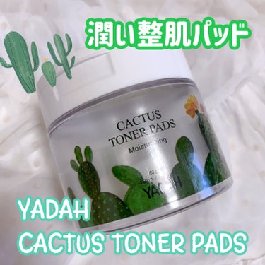 YADAH
カクタストナーパッド

CACTUS TONER PADS


大き目サイズのパッドで1枚で拭き取り完了します。
容器の中の美容液はひたひたではないです……少し保湿力は物足りないかなと正直思