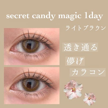 secretcandymagic 1day(シークレットキャンディーマジック）/secret candymagic/ワンデー（１DAY）カラコンを使ったクチコミ（1枚目）