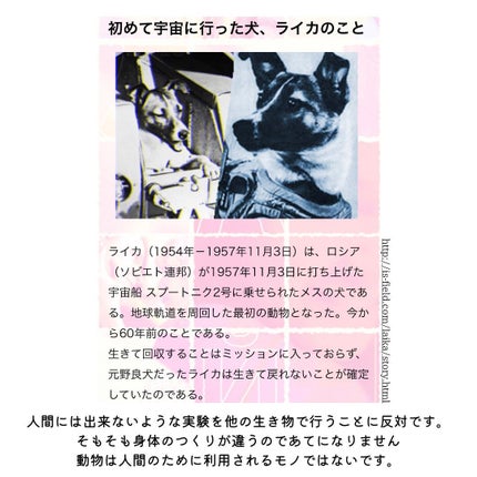 ミッドナイトブルーカーミングクリーム/Klairs/フェイスクリームを使ったクチコミ(6枚目)