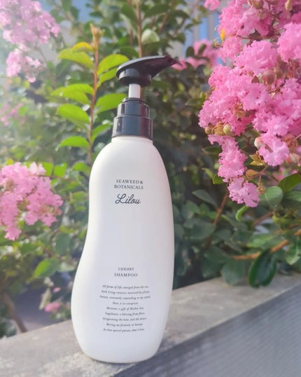Lilou リル ラグジュアリーシャンプー/トリートメント/Lilou/市販シャンプーを使ったクチコミ(1枚目)