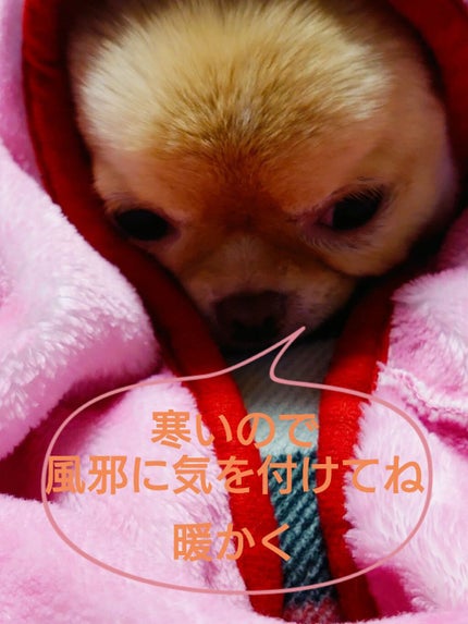 もめんどうふ on LIPS 「#本音レポ#初買いコスメ..」(7枚目)