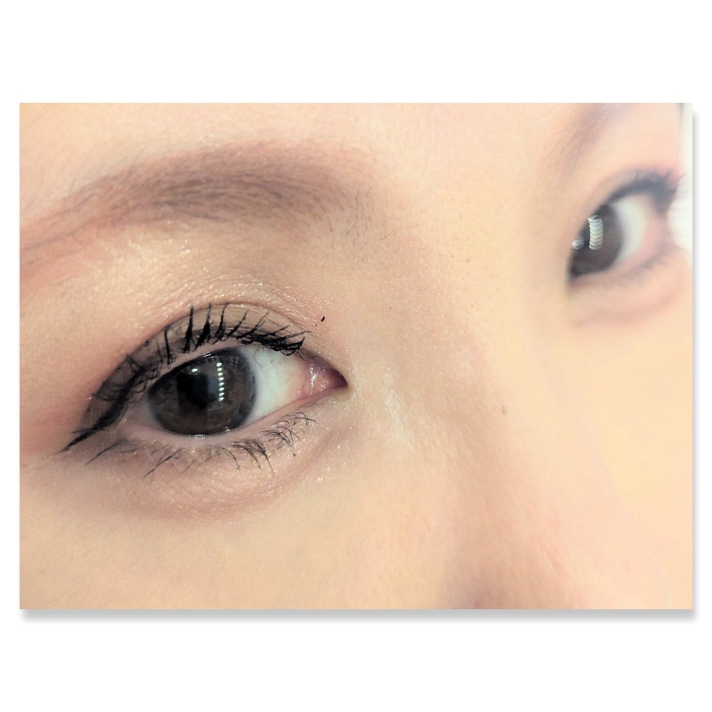 レブロン ダズル アイシャドウ クアッド/REVLON/アイシャドウパレットを使ったクチコミ(2枚目)