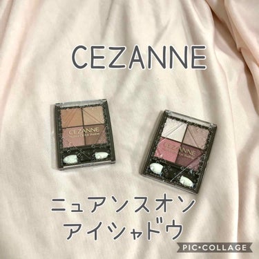 ニュアンスオンアイシャドウ/CEZANNE/アイシャドウパレットを使ったクチコミ（1枚目）