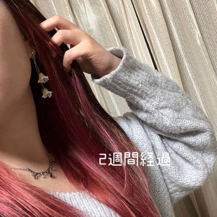 シャンプー/トリートメント ヒートケア ピンク/CALATAS/市販シャンプーを使ったクチコミ(5枚目)