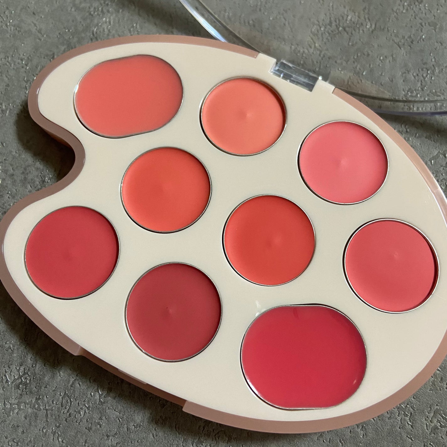 ムードペインティングリップアンドチークパレット/dasique/マルチパレットを使ったクチコミ(3枚目)