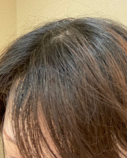 無香料ヘアカラー 早染めクリーム(白髪用) 3 明るいライトブラウン/サロン ド プロ/ヘアカラーの画像