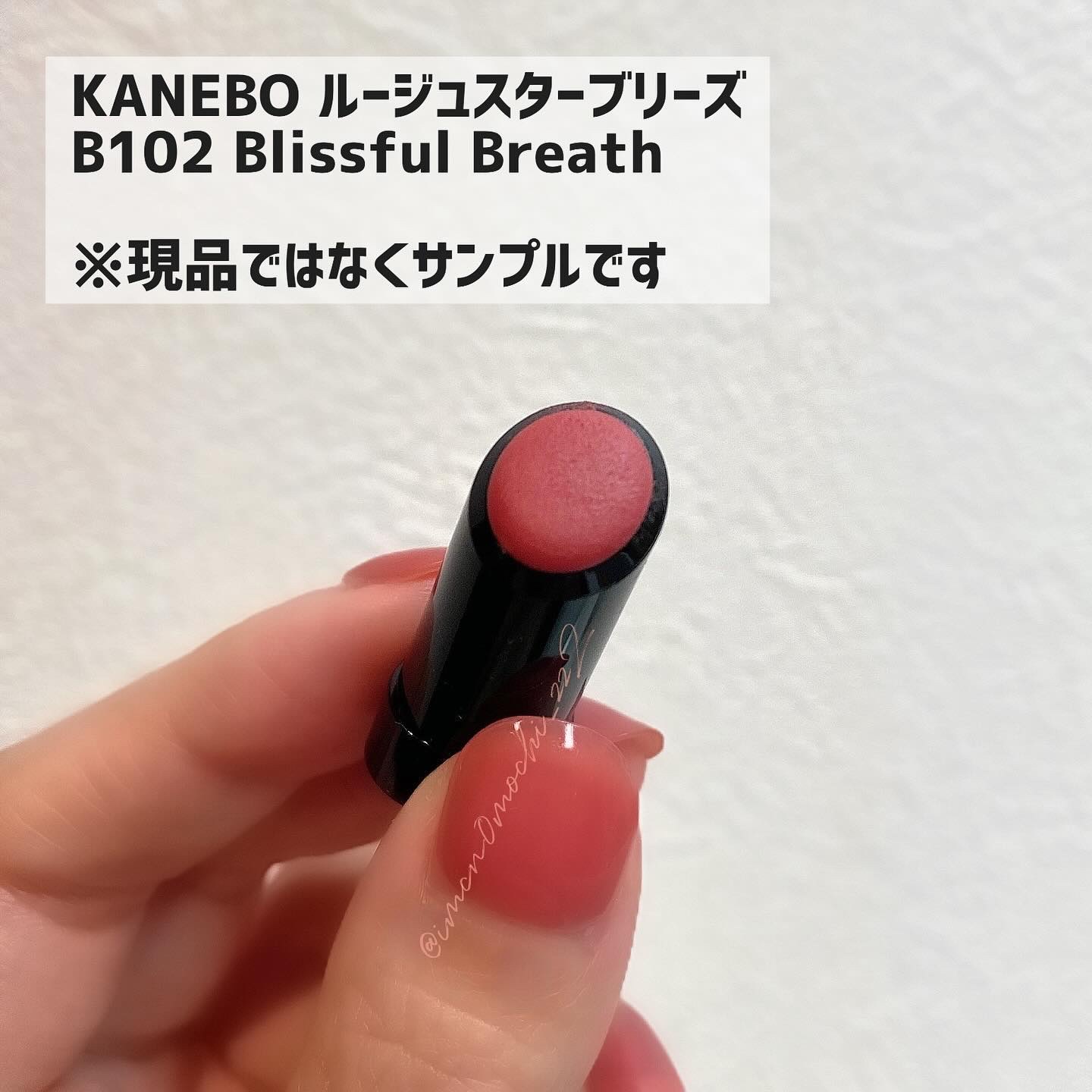 カネボウ ルージュスターブリーズ/KANEBO/口紅を使ったクチコミ（2枚目）