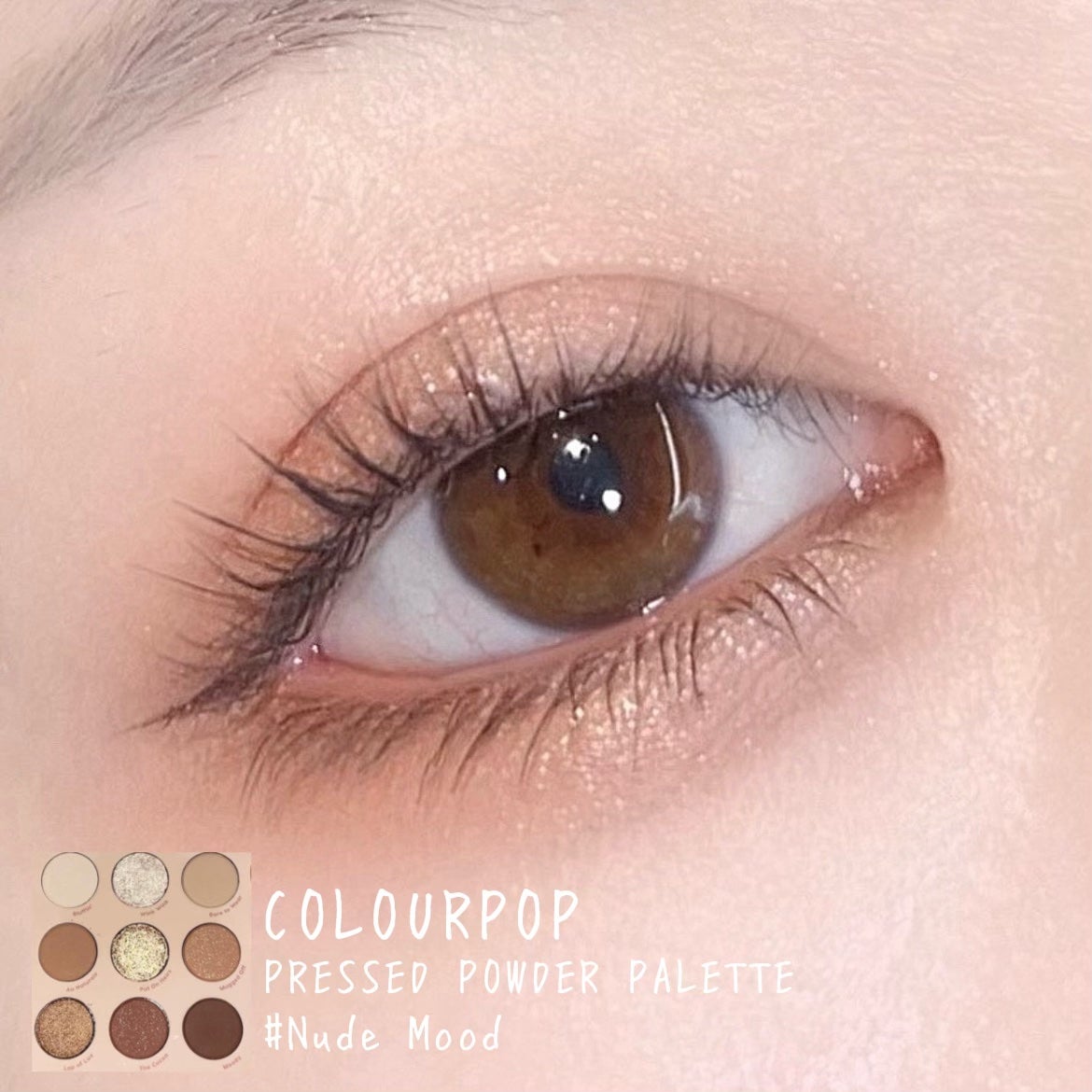 Pressed Powder Shadow /ColourPop/アイシャドウパレットを使ったクチコミ(1枚目)