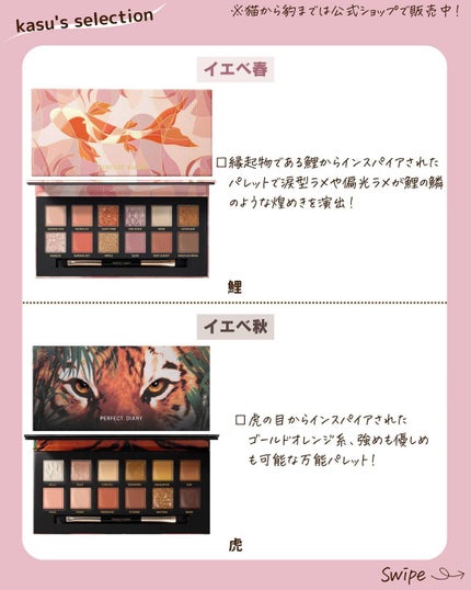 ãšã¯ã¹ãããŒã©12è² åç©ã¢ã€ã·ã£ããŠãã¬ãã/PERFECT DIARY/ã¢ã€ã·ã£ããŠãã¬ããã䜿ã£ãã¯ãã³ãïŒ3æç®ïŒ