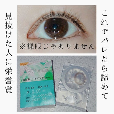 トゥインクルルビー ルーチェブラウン eye make