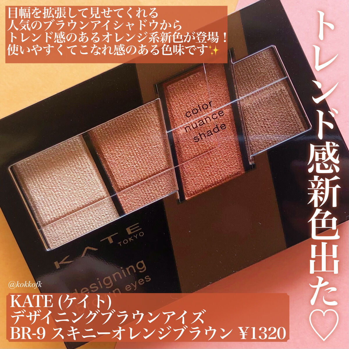 デザイニングブラウンアイズ BR-9 スキニーオレンジブラウン/KATE/アイシャドウパレットを使ったクチコミ（2枚目）