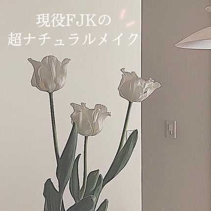 パーフェクトマルチアイズ/キャンメイク/アイシャドウパレットを使ったクチコミ(1枚目)