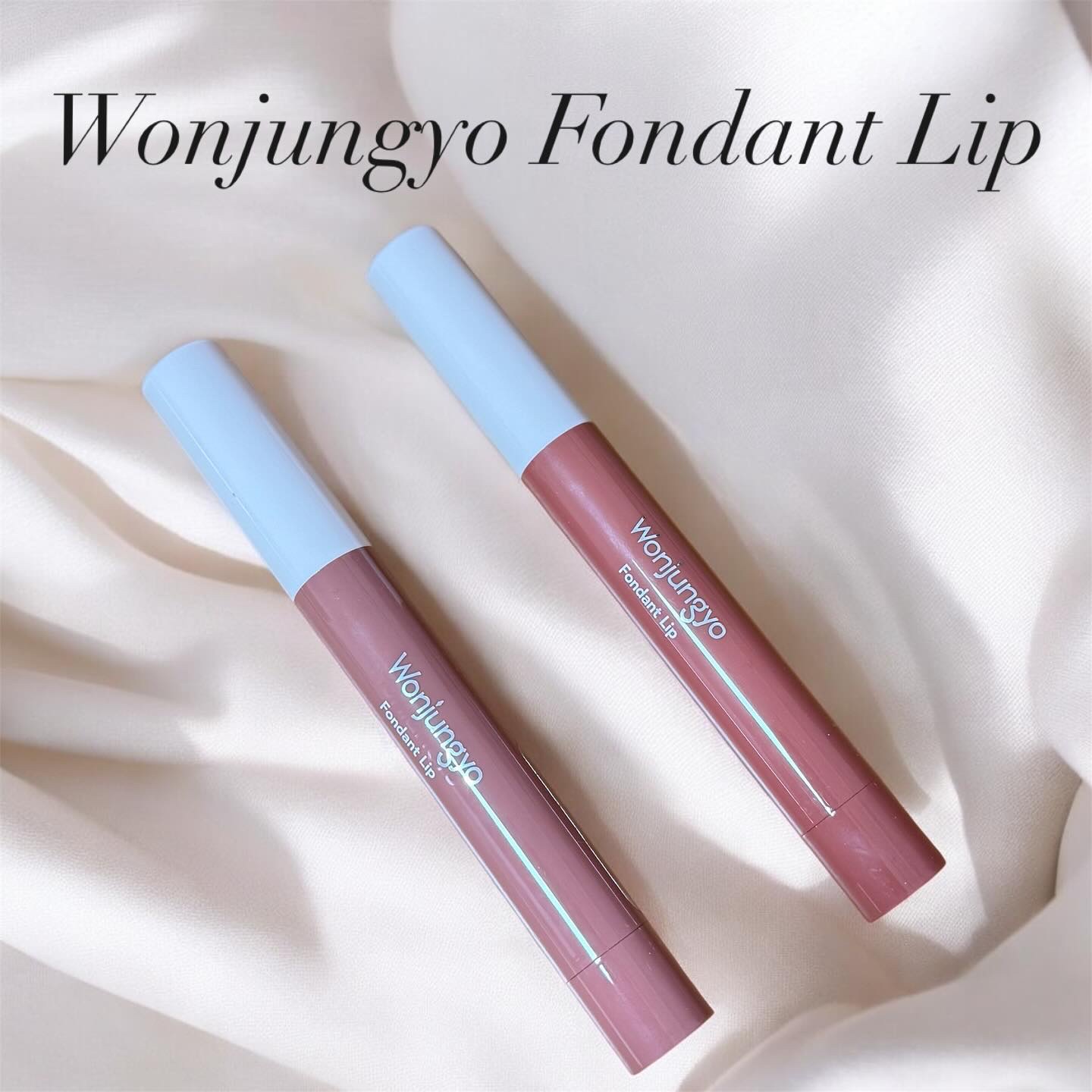 ウォンジョンヨ フォンダンリップ/Wonjungyo/口紅を使ったクチコミ（1枚目）