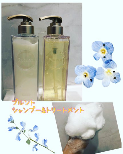 プルント モイストリッチ美容液シャンプー/モイストリッチリペア美容液トリートメント/Purunt./市販シャンプーを使ったクチコミ(1枚目)