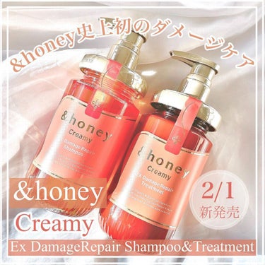 Creamy EXダメージリペアシャンプー1.0/ヘアトリートメント2.0/&honey/シャンプー・コンディショナーを使ったクチコミ（1枚目）